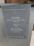 Fauna Republicii Populare Rom&acirc;ne. Insecta. Volumul IX, Fascicula 5: Familia Ichneumonidae - Mihai I. Constantineanu