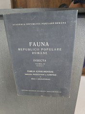 Fauna Republicii Populare Rom&acirc;ne. Insecta. Volumul IX, Fascicula 5: Familia Ichneumonidae - Mihai I. Constantineanu