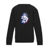 Echipa națională de hochei hanorac de copii Czech Republic Tricolour logo lion black - Dětsk&eacute; M (5-6 let)