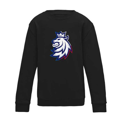 Echipa națională de hochei hanorac de copii Czech Republic Tricolour logo lion black - Dětsk&amp;eacute; M (5-6 let) foto