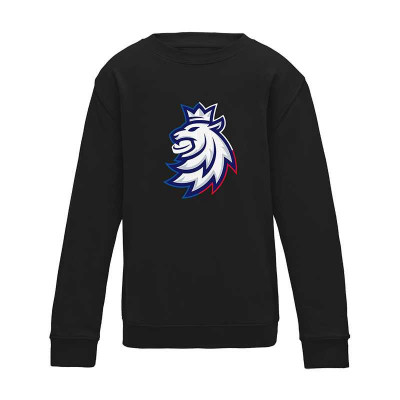 Echipa națională de hochei hanorac de copii Czech Republic Tricolour logo lion black - Dětsk&amp;eacute; XXL (12-14 let) foto