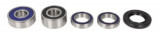 Kit Rulment roata Cu garnitura spate compatibil: HONDA VTX 1300/1800 2001-2009