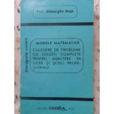 MODELE MATEMATICE. CULEGERE DE PROBLEME CU SOLUTII COMPLETE PENTRU ADMITERE IN LICEE SI SCOLI PROFESIONALE--300449