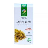 Astragalus 60 capsule Santo Raphael