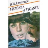 David Herbert Lawrence - Fecioara si tiganul - 105468
