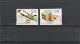 auna,fluture,lacusta ,Brazilia.