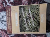 ✅ 📚 TERENURI DE ARH. AUREL CRISTIAN * EDITURA MATRIX ROM 1997 * JURIDIC, LEGAL, URBANISTIC, ZONĂRI EVALUĂRI INTRA ȘI EXTRAVILANE PREȚURI 284 PAGINI