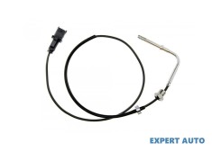 Senzor temperatura gaze dpf Fiat Doblo (2001-&gt;) [119] #1