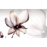 Tablou canvas Floare de magnolie, 45 x 30 cm