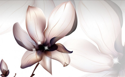 Tablou canvas Floare de magnolie, 45 x 30 cm foto