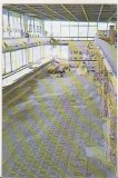 bnk cp Constanta - Edificiul roman cu mozaic - necirculata