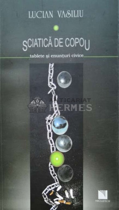 Sciatica de copou (cu semnătura) - 2010 - Lucian Vasiliu (G136)