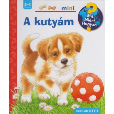 A kuty&amp;aacute;m - Scolar Mini - Mit? Mi&amp;eacute;rt? Hogyan? - Kihajthat&amp;oacute; ablakokkal - Patricia Mennen foto