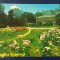 QW23 B - Carte postala - tematica turism - vedere - Romania - Bucuresti 74