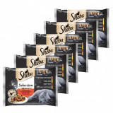 Sheba Selection Selecție suculentă de pungi 6 x (4 x 85 g)