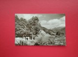 CARTE POSTALA - RPR - OLTUL LA CACIULATA, Necirculata, Fotografie