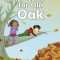 Fall for Old Oak