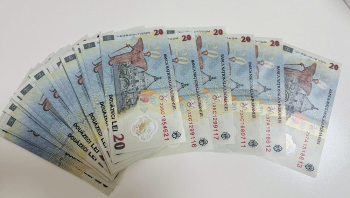 Colectie 242 de Bancnote 20 de lei