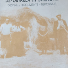 DEPORTAREA IN BARAGAN VIOREL MARINEASA 1996