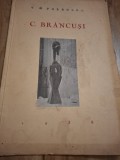 C. Br&acirc;ncuși - V. G. Paleolog