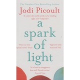 A Spark of Light - Jodi Picoult