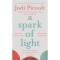 A Spark of Light - Jodi Picoult
