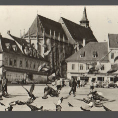 CPIB 21241 CARTE POSTALA - BRASOV. piața "23 august", PORUMBEI