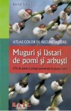 Muguri si lastari de pomi si arbusti - Bernd Schulz