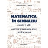 Matematica in gimnaziu Clasele 5-8. Exercitii si probleme alese pentru juniori - Ion Burca