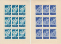 1948 Romania - Fratia de arme romano-sovietica LP 235 a, minicoli 9 timbre P.A. foto