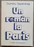 Un roman la Paris - Dumitru Tepeneag