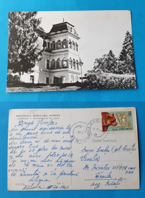 Carte Postala frumos circulata veche anul 1964 - ZABALA - Preventoriu de copii foto