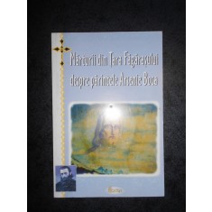 IOAN CISMILEANU - MARTURII DIN TARA FAGARASULUI DESPRE PARINTELE ARSENIE BOCA