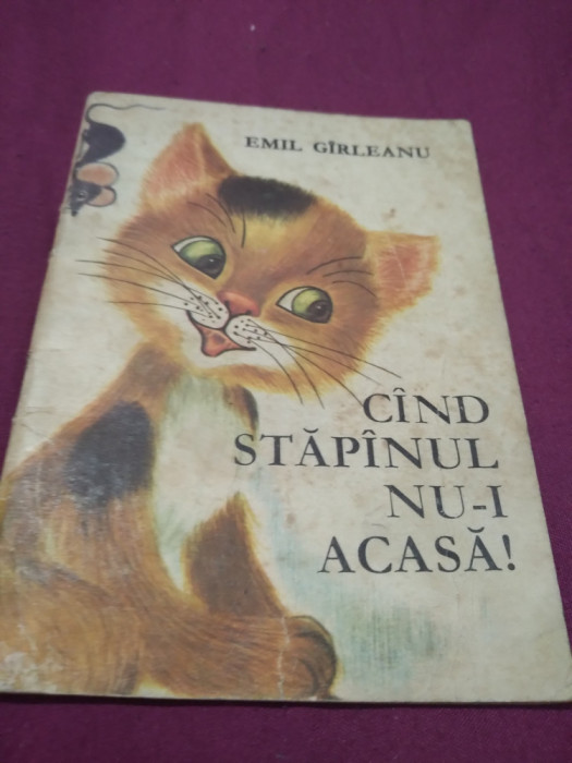 CAND STAPANUL NU-I ACASA-EMIL GIRLEANU