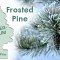 Odorizant Auto Wunder-Baum&reg;, Frosted Pine