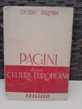 Pagini despre cultura europeana - Ovidiu Drimba