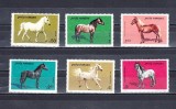 A11 TX5 9 - 1984 - Cai din crescatoriile romanesti, Fauna, Nestampilat