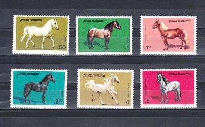 A11 TX5 9 - 1984 - Cai din crescatoriile romanesti foto