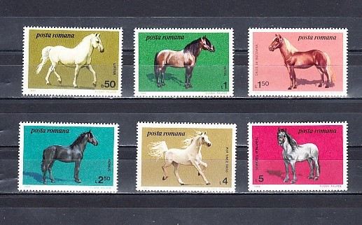 A11 TX5 9 - 1984 - Cai din crescatoriile romanesti