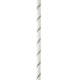 Coarda Alpinism Statica PETZL Parallel 10.5mm x 50m, Albă, Rezistență 22kN, Tehnologie EverFlex, EN 1891, Lucru la &Icirc;nălțime