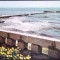 AMS - ILUSTRATA 695 EFORIE NORD - VEDRE SPRE LARGUL MARII, CIRCULATA