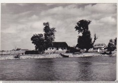 bnk cp Case pescaresti in Delta Dunarii, la Crisan - Vedere - necirculata