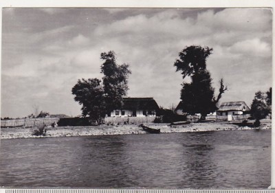 bnk cp Case pescaresti in Delta Dunarii, la Crisan - Vedere - necirculata foto