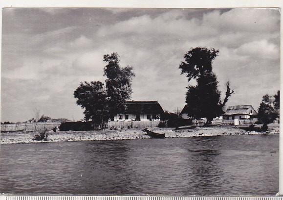bnk cp Case pescaresti in Delta Dunarii, la Crisan - Vedere - necirculata