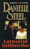 Danielle Steel - Caruselul intalnirilor