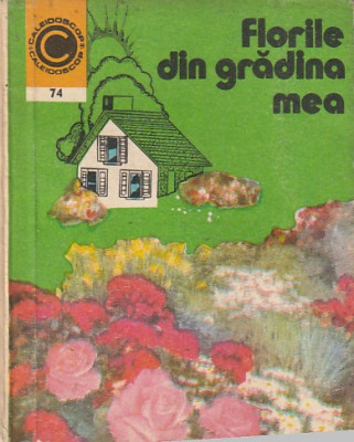 ELENA SELARU - FLORILE DIN GRADINA MEA ( CALEIDOSCOP ) foto