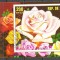 Eq. Guinea 1979 Roses, imperf. sheet, used N.019