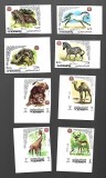 yemen mnh nedantelat