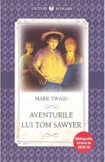 Aventurile lui Tom Sawyer - Mark Twain, Litera