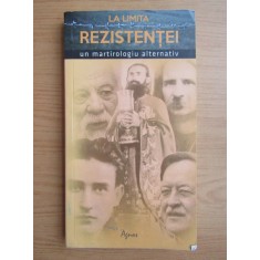 Dragos Boicu - La limita rezistentei. Un martirologiu alternativ